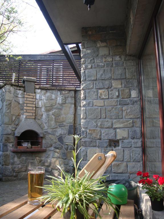 Casuta De Piatra Villa Szászbuda Kültér fotó